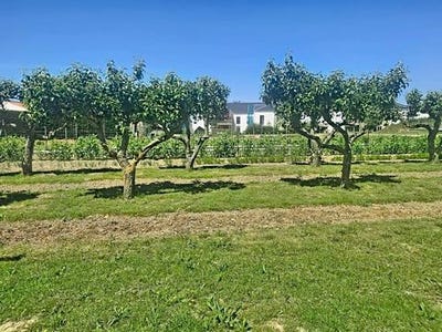 /international/fr/sables-d-olonne-pays-de-la-loire-310108246836/