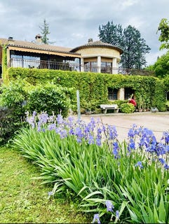 /international/fr/vaison-la-romaine-provence-alpes-cote-d-azur-310101228014/