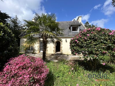 /international/fr/quimper-brittany-310099561366/