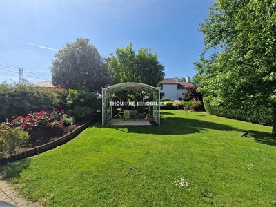 /international/fr/mauves-sur-loire-pays-de-la-loire-310098975515/