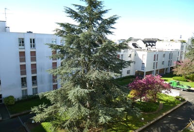 /international/fr/angers-pays-de-la-loire-310098974402/