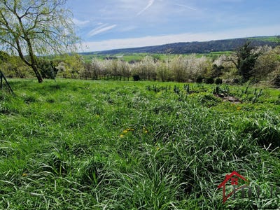 /international/fr/laferte-sur-amance-ardennes-310094696475/