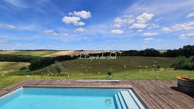 /international/fr/rabastens-midi-pyrenees-310119377261/