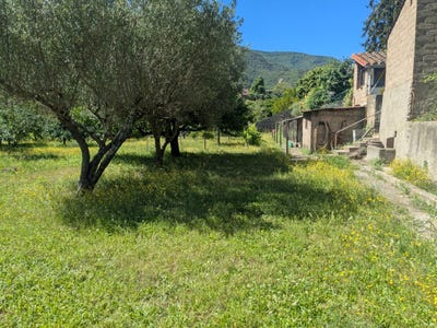 /international/fr/arles-sur-tech-languedoc-roussillon-310109072010/