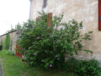 /international/fr/sampigny-les-maranges-burgundy-310105517875/