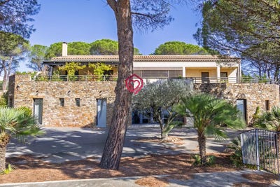 /international/fr/carcassonne-languedoc-roussillon-310103591876/