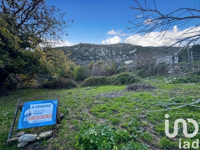 /international/fr/santo-pietro-di-tenda-corsica-310096037733/