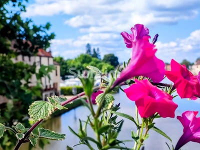 /international/fr/santenay-burgundy-310107185528/