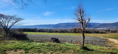 /international/fr/savasse-rhone-310103643970/