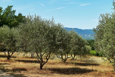 /international/fr/villelaure-hh-15596188-villelaure-provence-alpes-cote-d-azur-310100953208/