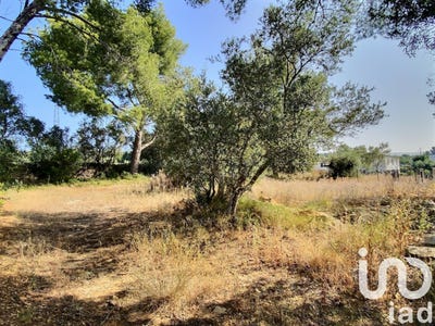 /international/fr/la-ciotat-provence-alpes-cote-d-azur-310097069569/