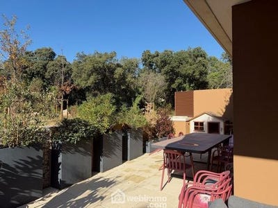 /international/fr/castries-languedoc-roussillon-310105833725/