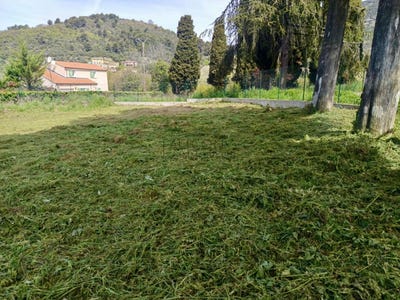 /international/fr/levens-provence-alpes-cote-d-azur-310100180445/
