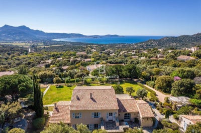 /international/fr/lumio-corsica-310106991331/