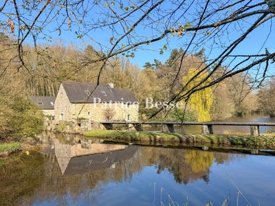 /international/fr/guingamp-brittany-310107257135/