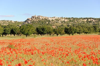 /international/fr/gordes-provence-alpes-cote-d-azur-310100601633/