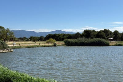 /international/fr/saint-cyprien-languedoc-roussillon-310100876980/