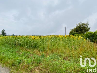 /international/fr/acheres-la-foret-ile-de-france-310104462609/