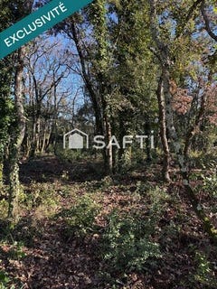 /international/fr/vallon-pont-d-arc-rhone-310104800643/
