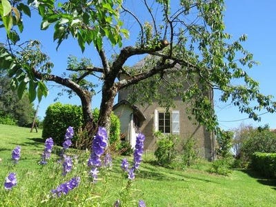 /international/fr/juillac-limousin-310099786154/