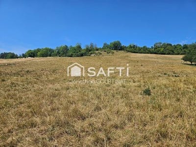 /international/fr/sanssat-auvergne-310100794463/
