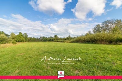 /international/fr/pruniers-en-sologne-centre-val-de-loire-310101205028/?lang=zh-tw