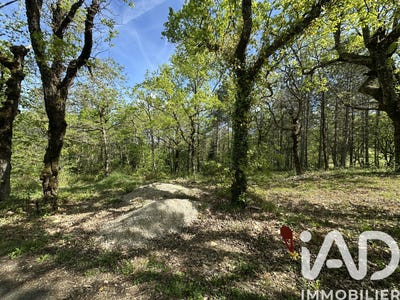 /international/fr/cahors-midi-pyrenees-310107409625/
