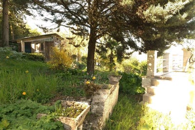 /international/fr/bures-sur-yvette-ile-de-france-310099562254/