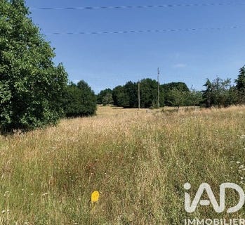 /international/fr/le-mans-pays-de-la-loire-310105400137/