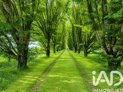 /international/fr/le-fousseret-midi-pyrenees-310103609279/