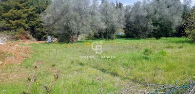 /international/fr/le-cannet-midi-pyrenees-310101285360/?lang=en