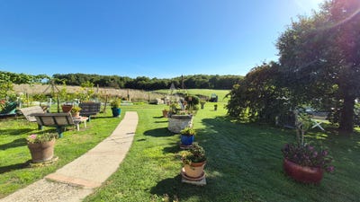 /international/fr/chermignac-charente-310104470491/
