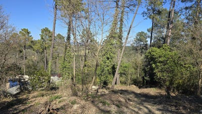 /international/fr/saint-paul-en-foret-provence-alpes-cote-d-azur-310104402249/