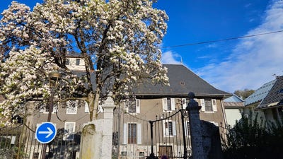 /international/fr/albertville-rhone-310105761062/