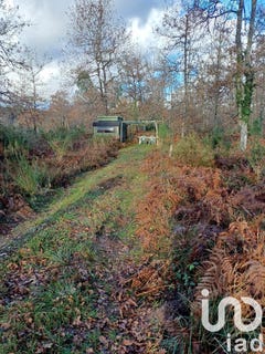 /international/fr/landiras-aquitaine-310100540250/