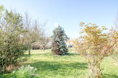 /international/fr/antony-ile-de-france-310108894711/