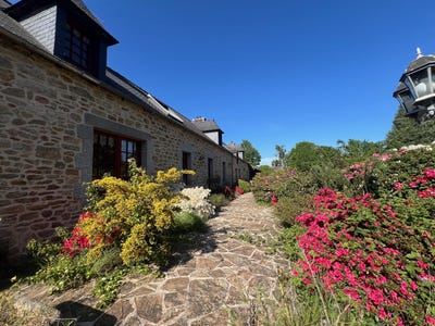 /international/fr/graces-brittany-310108764187/?lang=pt