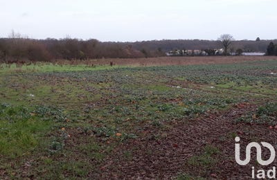 /international/fr/liguge-charente-310102457575/