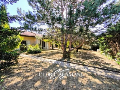 /international/fr/carcassonne-languedoc-roussillon-310108943581/