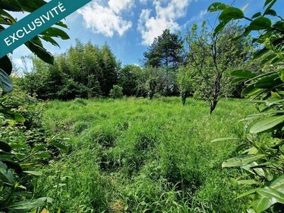 /international/fr/curzon-pays-de-la-loire-310107374398/