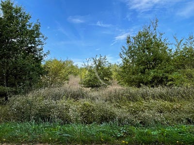 /international/fr/romorantin-lanthenay-centre-val-de-loire-310104463408/
