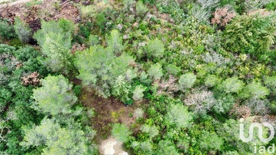 /international/fr/auriol-provence-alpes-cote-d-azur-310098121601/