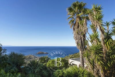 /international/fr/centuri-corsica-310103565072/