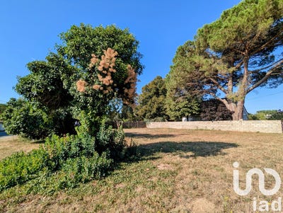 /international/fr/gours-aquitaine-310101337416/