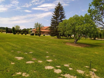 /international/fr/daumazan-sur-arize-midi-pyrenees-310098703495/