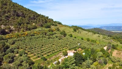 /international/fr/manosque-provence-alpes-cote-d-azur-310108553351/