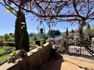 /international/fr/mons-languedoc-roussillon-310108866025/