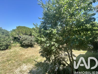 /international/fr/caux-limousin-310107641341/