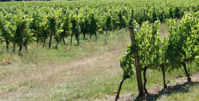 /international/fr/libourne-aquitaine-310106574519/