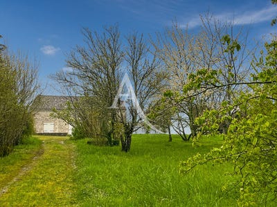 /international/fr/saint-matre-midi-pyrenees-310104468543/